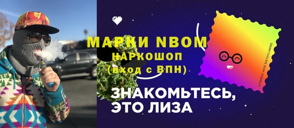 шишки Горняк