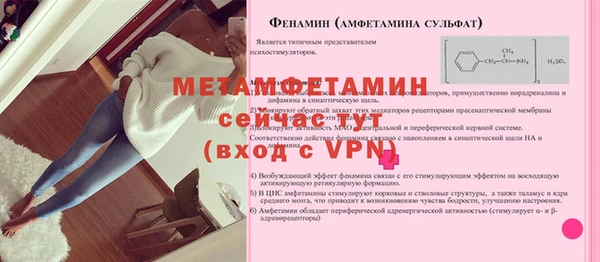 шишки Горняк