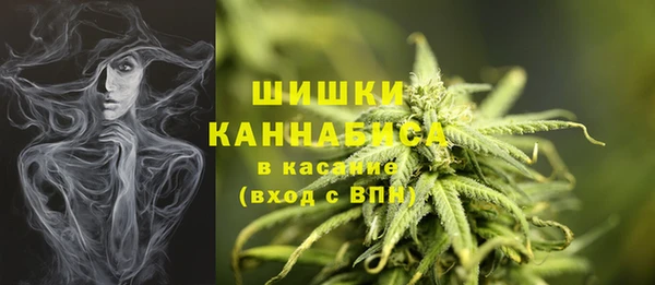 шишки Горняк