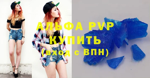 шишки Горняк