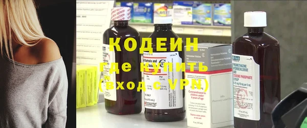 шишки Горняк