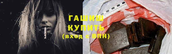 шишки Горняк