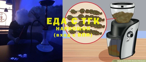 шишки Горняк
