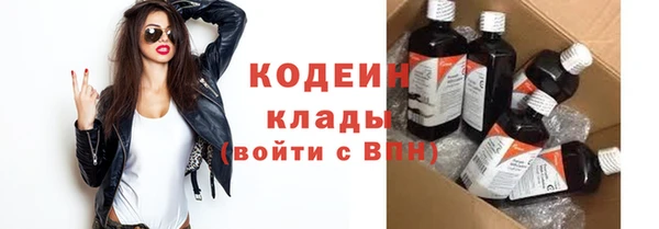 шишки Горняк