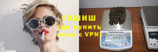 шишки Горняк