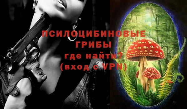 тгк Горнозаводск