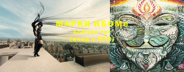 тгк Горнозаводск
