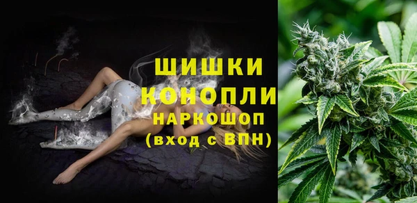 спиды Горно-Алтайск