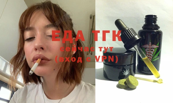 шишки Горняк