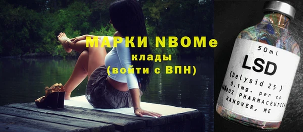 шишки Горняк