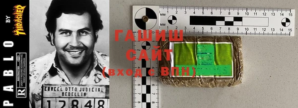 шишки Горняк