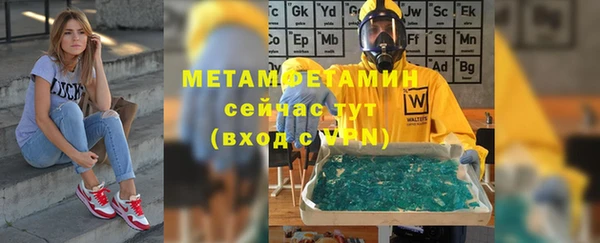 шишки Горняк