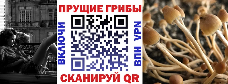 Галлюциногенные грибы Cubensis Купить Ростов